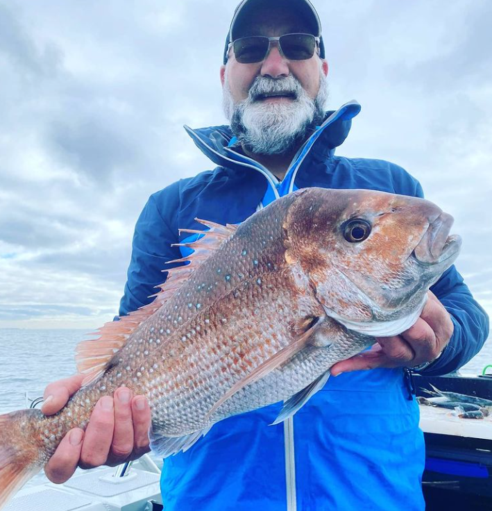 Catching Snapper on lures - The Fishing Website