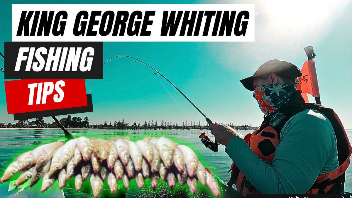 King George Whiting Fishing Tips - Victoria Australia – Hook in