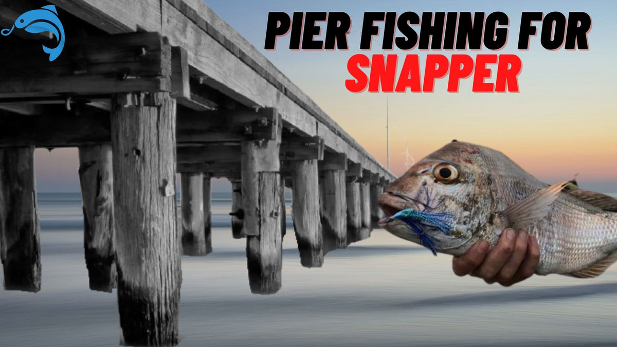 Pier Fishing for Snapper – Hook in Mouth Tackle