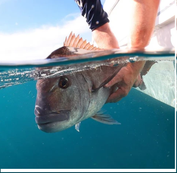 Offshore Fishing Tips: Catch what you CAN!