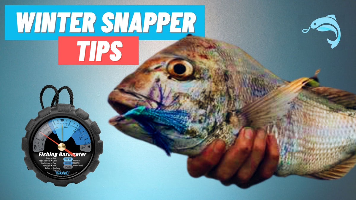 Winter Snapper Tips - How to Catch Snapper During the Cooler Months – Hook  in Mouth Tackle