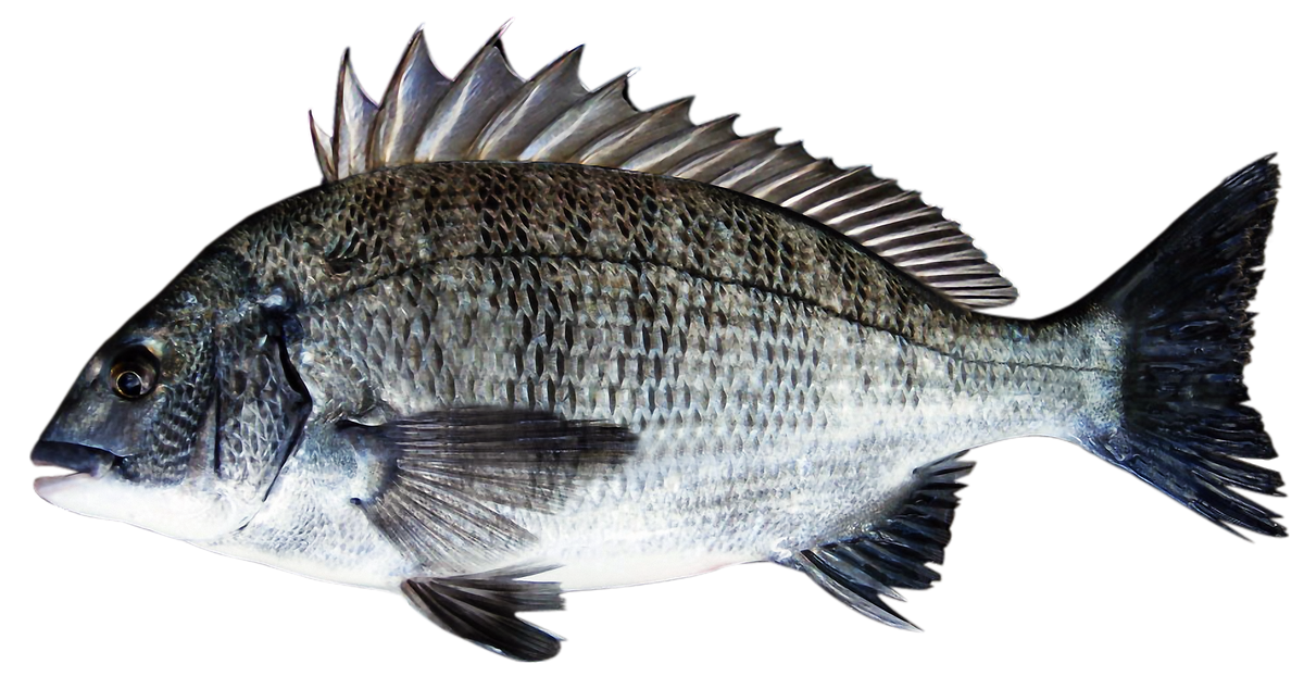 Bream deals