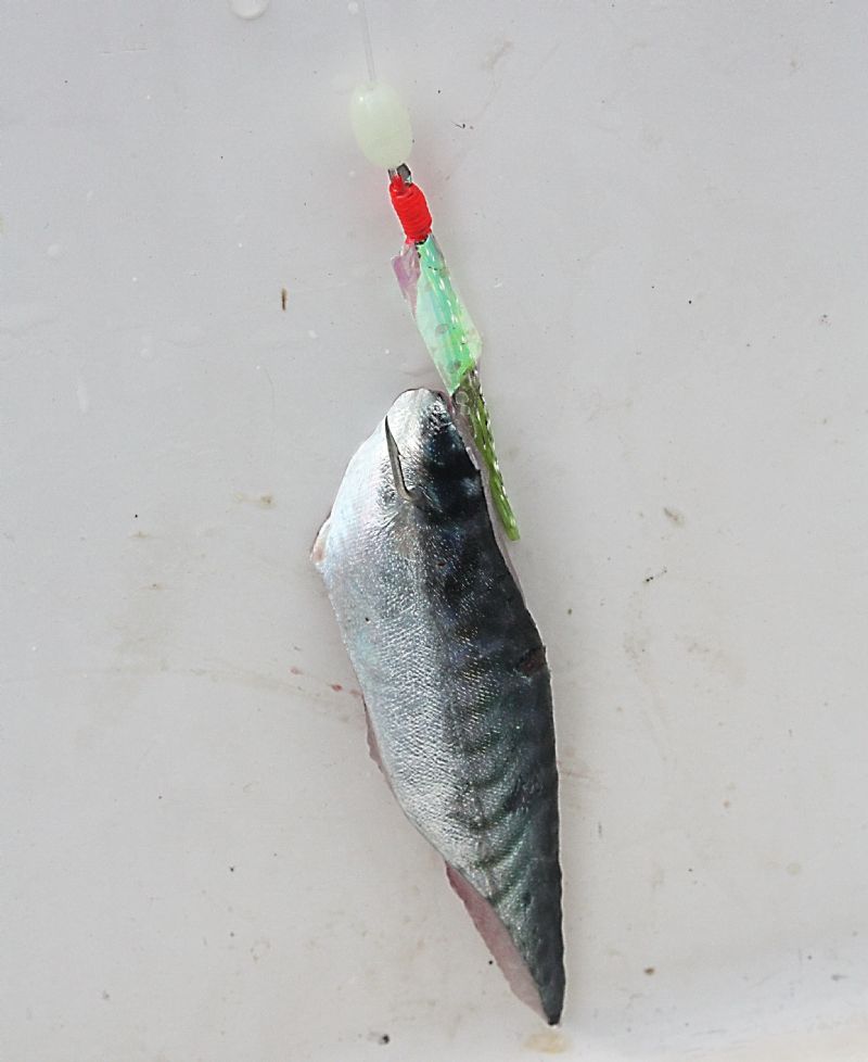 Lure Coated With Real Fish Skin & Head