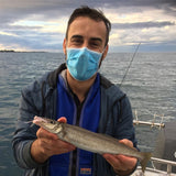 Super UV Yellow Paternoster Whiting Rig #4 Circle Hook on 30lb Leader