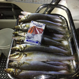 Super UV Yellow Paternoster Whiting Rig #4 Circle Hook on 30lb Leader