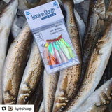 Super UV Yellow Paternoster Whiting Rig #4 Circle Hook on 30lb Leader