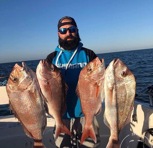 Understanding Snapper Behaviour will Improve your Catch Rate? - How to Catch More Snapper