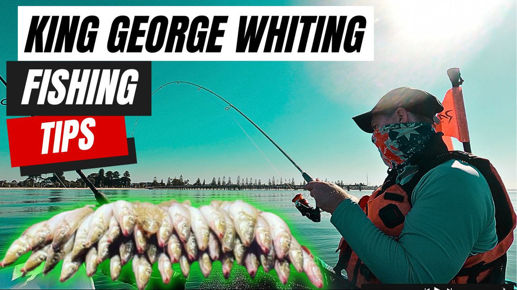 King George Whiting Fishing Tips - Victoria Australia