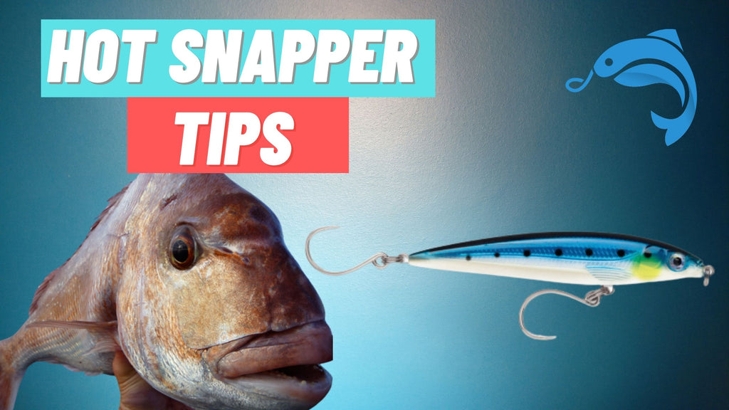 Snapper Basics During Winter - Snapper Tips – Hook in Mouth Tackle