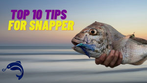 Top 10 Snapper Tips