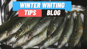Winter Whiting | King George Whiting