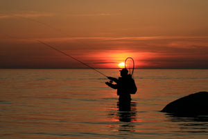 Sandflat Fishing